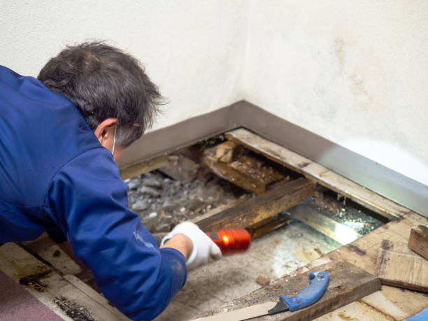 Best Fast Mold Removal  in La Crosse, KS