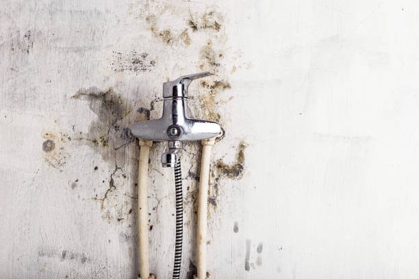 La Crosse, KS Mold Removal Company