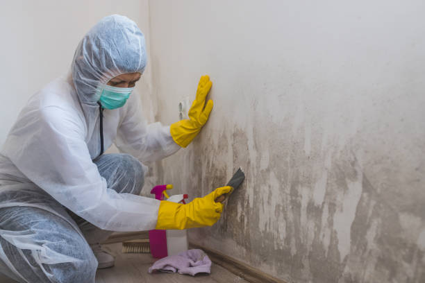 Best Affordable Mold Removal  in La Crosse, KS