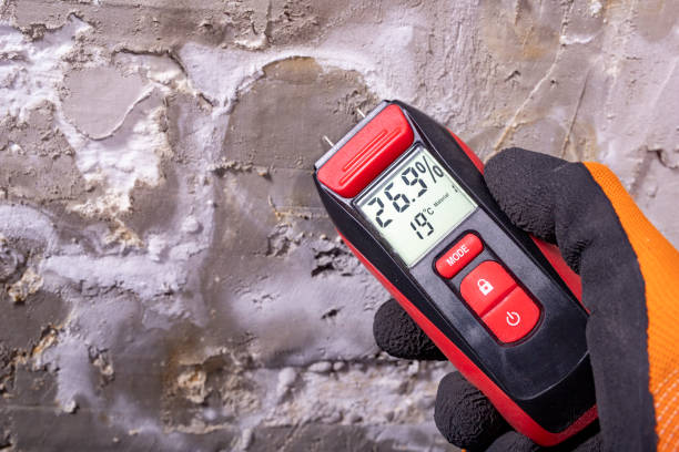Best Black Mold Removal  in La Crosse, KS