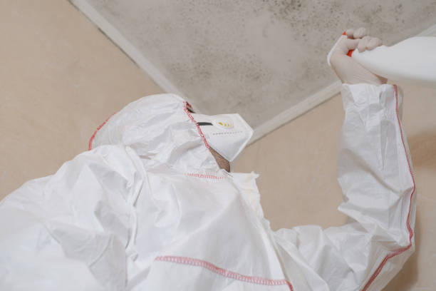 Best Professional Mold Removal  in La Crosse, KS