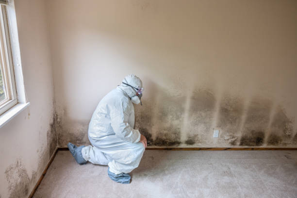 Best Mold Testing  in La Crosse, KS