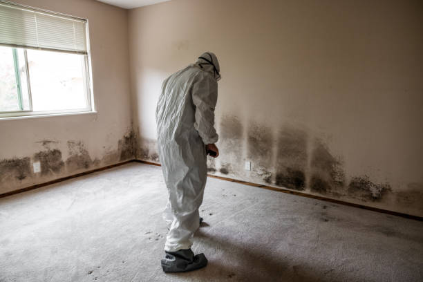 Best Crawl Space Mold Removal  in La Crosse, KS