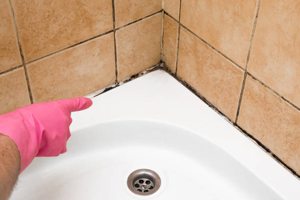Best Emergency Mold Removal  in La Crosse, KS